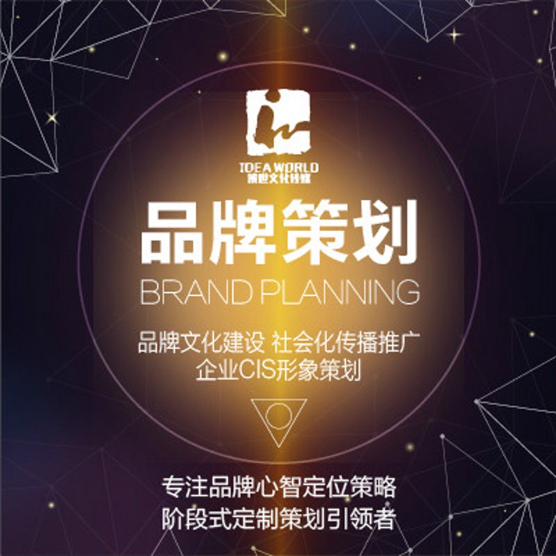 市场营销策划：打造品牌影响力的操作指南